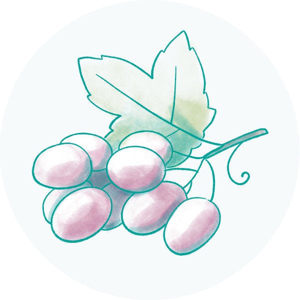 Grapeseed Oil