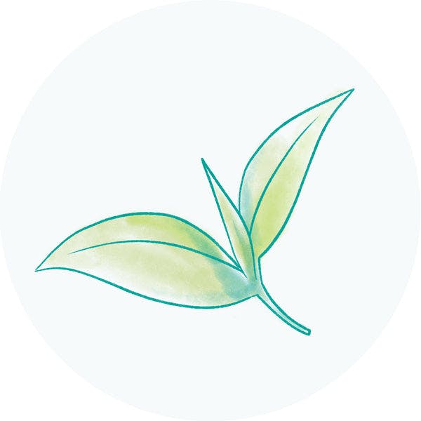 Green Tea - Skincare